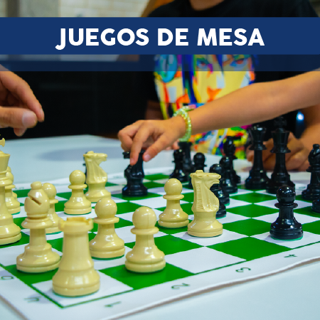 Líneas de productos plásticos